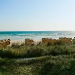 Seeloewe Strandallee 88 B *